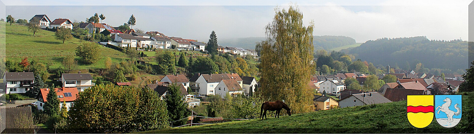 TSG Zweibrücken Mittelbach Hengstbach